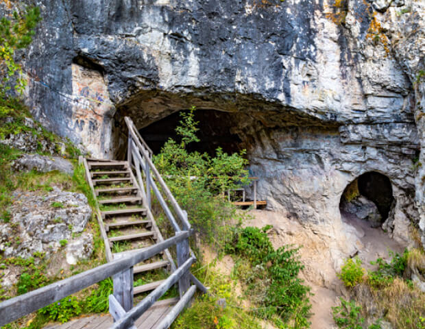 Neanderthal Report