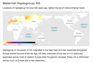 23andme genealogy dna test